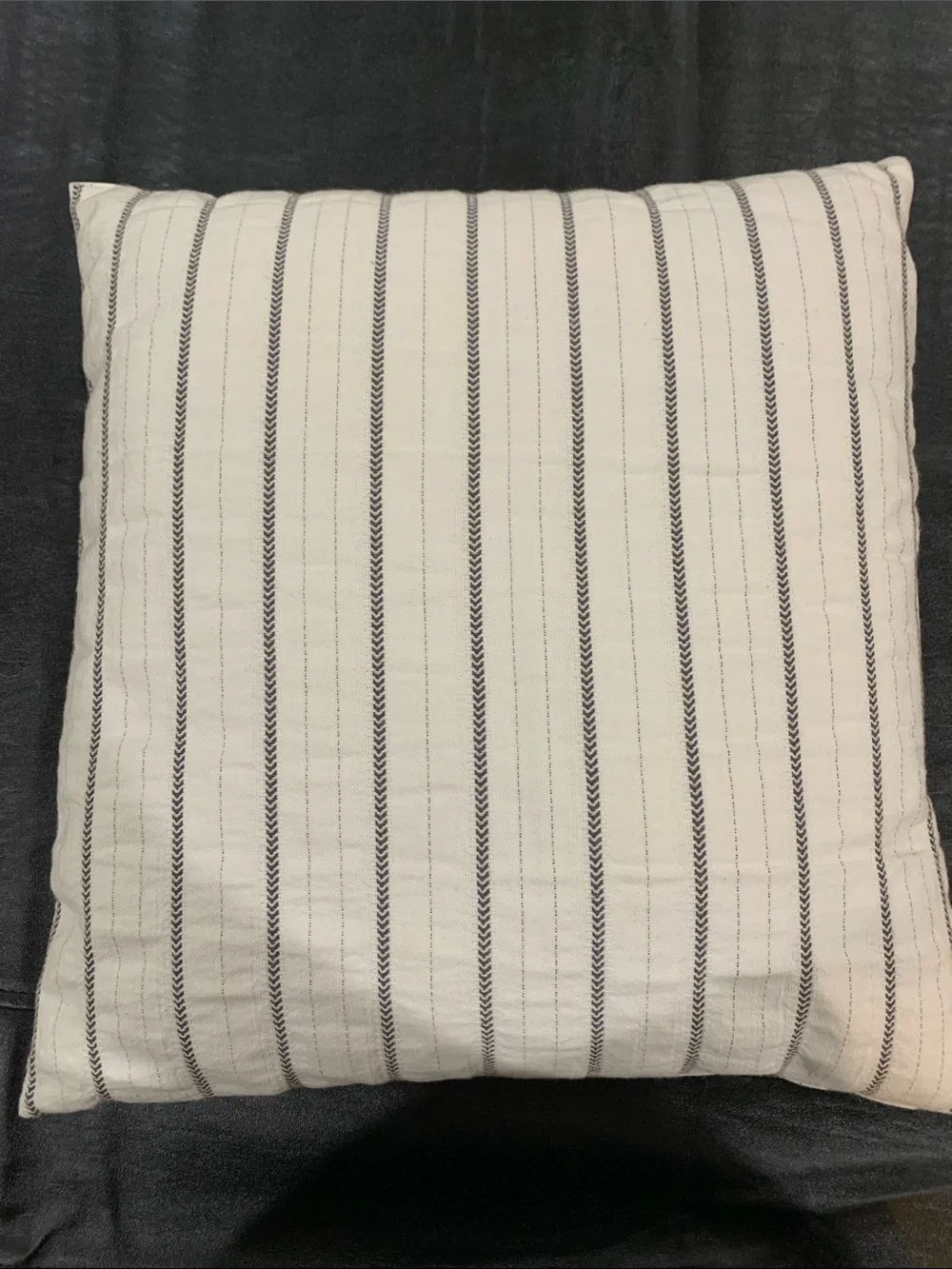 Cream and Black Striped Throw Pillow